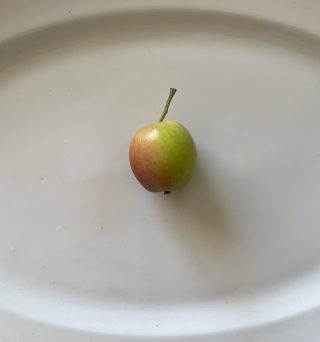Årets samlade äppelskörd i min trädgård. 👆🏻
Vad ska man hitta på?
Paj, mos, must – så många val!